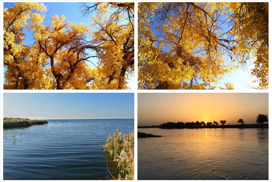 阿拉善盟額濟(jì)納的胡楊林、居延海與日落